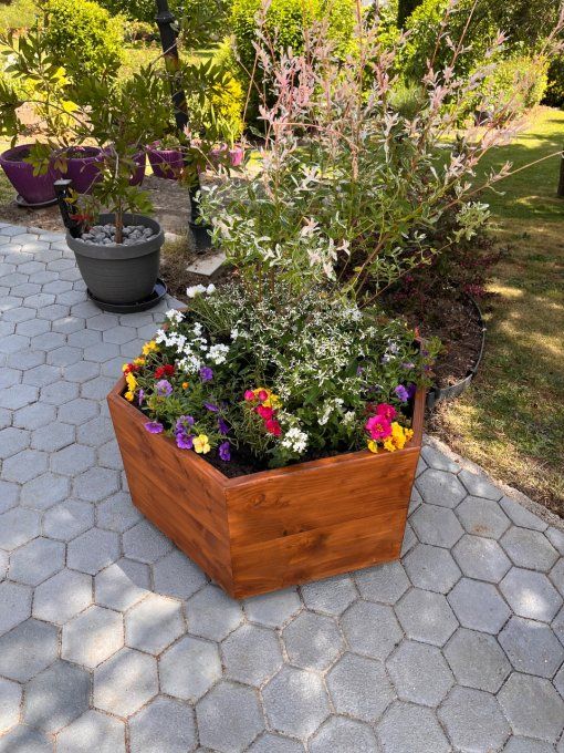 Jardinière Hexagonale