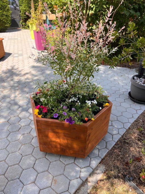 Jardinière Hexagonale