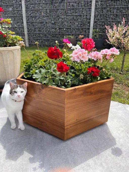 Jardinière Hexagonale